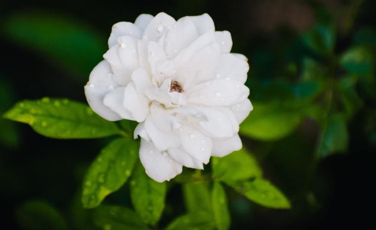 Muhammad Murtaza Ghani Unsplash