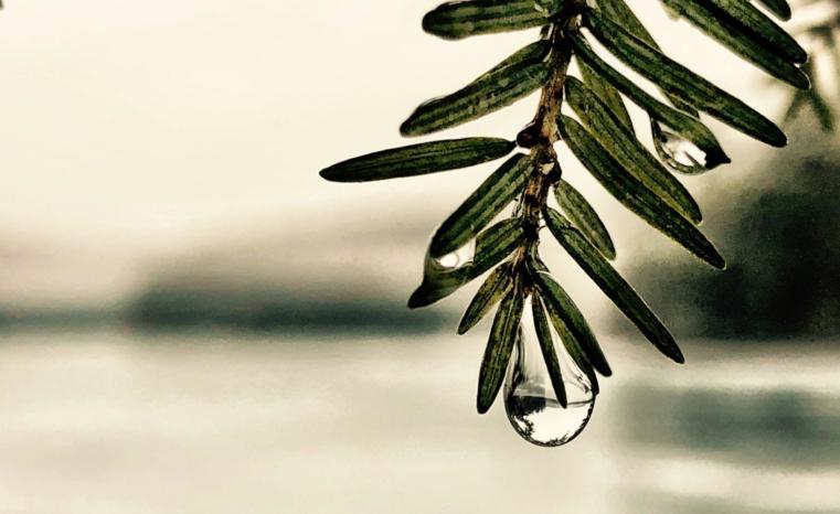 Shripal Daphtary 34E Tdc 570 Unsplash